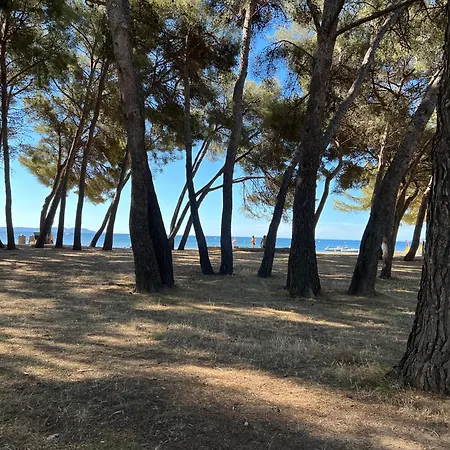 Joli Très Clair à Proximité Pour 3 Personnes Appartement