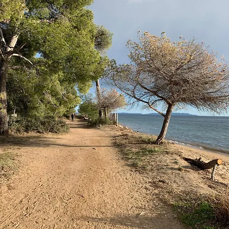 Lägenhet Joli Tres Clair A Proximite Pour 3 Personnes La Londe-les-Maures
